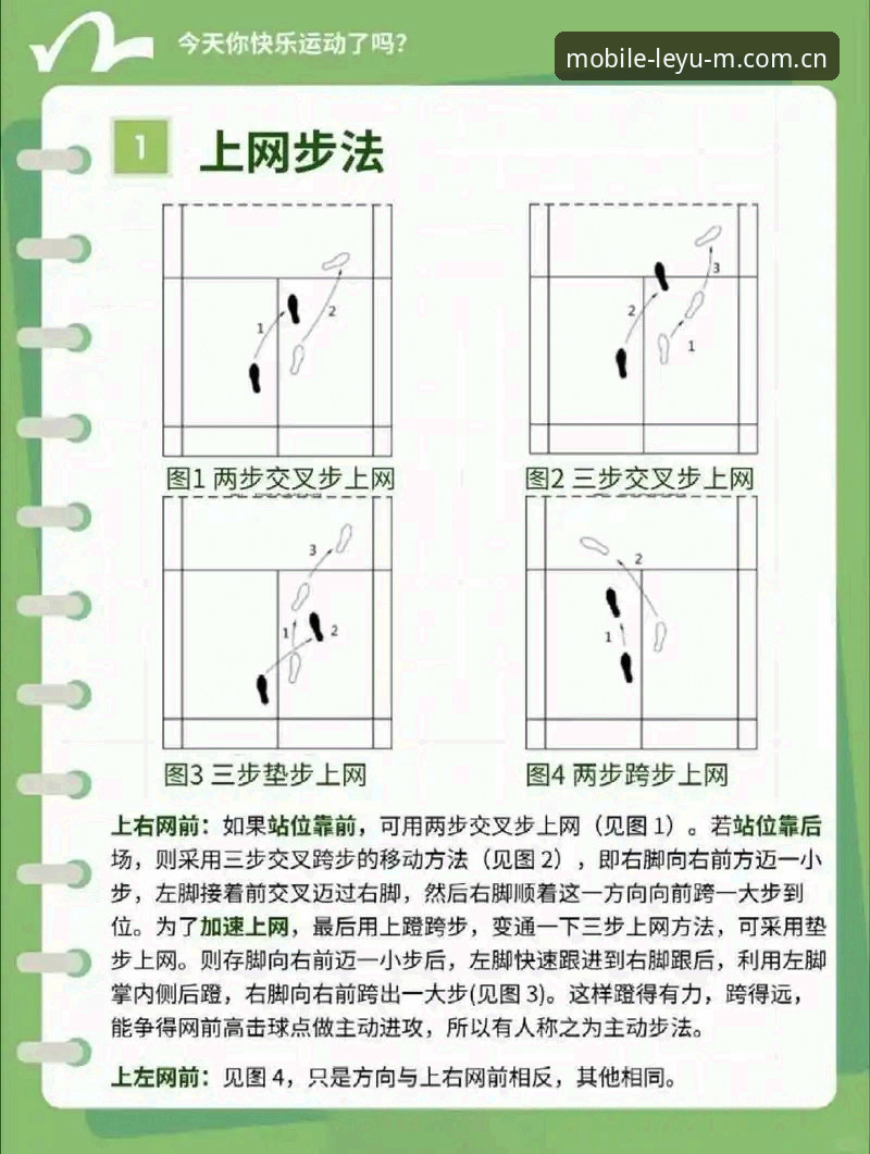 乐鱼平台电竞赛程不再踩坑：从手忙脚乱到直达官方的操作教程